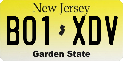 NJ license plate B01XDV