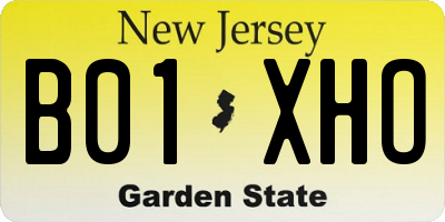 NJ license plate B01XHO