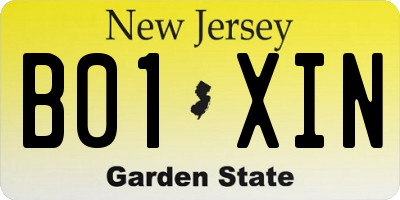 NJ license plate B01XIN
