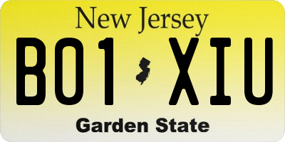 NJ license plate B01XIU