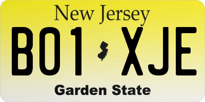 NJ license plate B01XJE