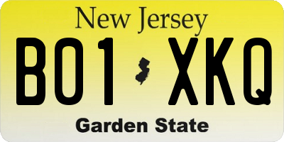 NJ license plate B01XKQ