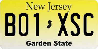 NJ license plate B01XSC