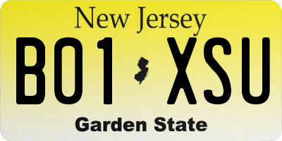 NJ license plate B01XSU