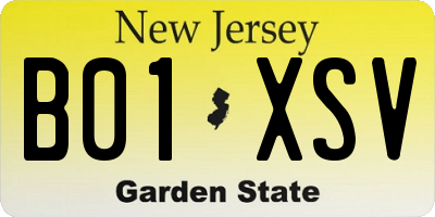 NJ license plate B01XSV