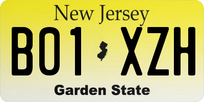 NJ license plate B01XZH