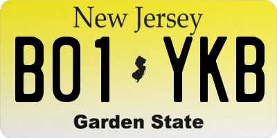 NJ license plate B01YKB