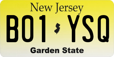NJ license plate B01YSQ