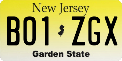 NJ license plate B01ZGX