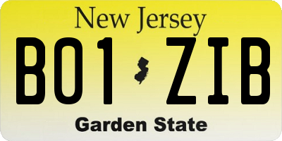 NJ license plate B01ZIB