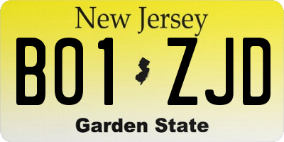NJ license plate B01ZJD