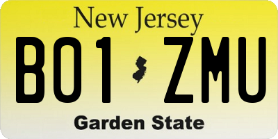 NJ license plate B01ZMU