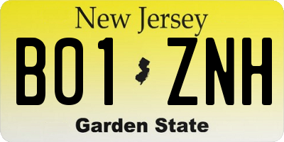 NJ license plate B01ZNH