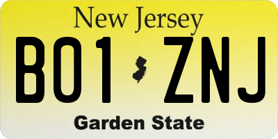 NJ license plate B01ZNJ