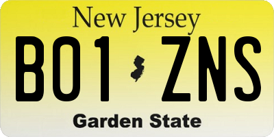 NJ license plate B01ZNS