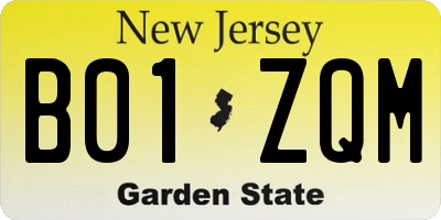 NJ license plate B01ZQM