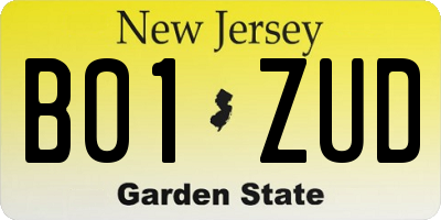 NJ license plate B01ZUD