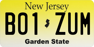 NJ license plate B01ZUM