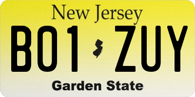 NJ license plate B01ZUY