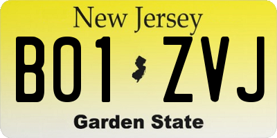 NJ license plate B01ZVJ