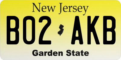 NJ license plate B02AKB