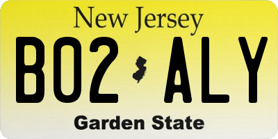 NJ license plate B02ALY