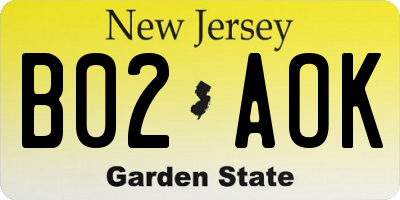 NJ license plate B02AOK