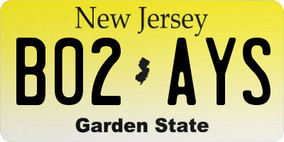 NJ license plate B02AYS