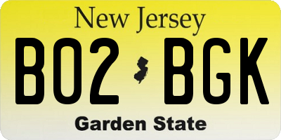 NJ license plate B02BGK
