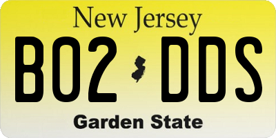 NJ license plate B02DDS