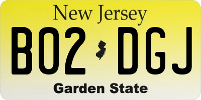 NJ license plate B02DGJ