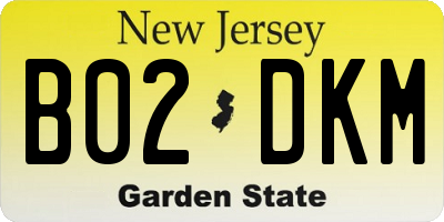NJ license plate B02DKM
