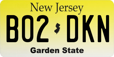 NJ license plate B02DKN