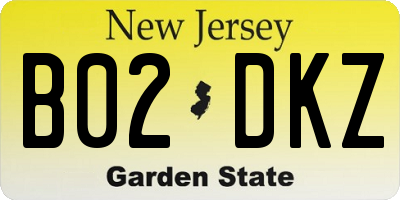 NJ license plate B02DKZ