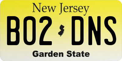 NJ license plate B02DNS