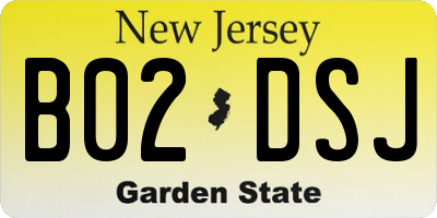 NJ license plate B02DSJ