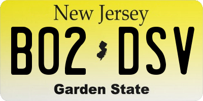 NJ license plate B02DSV