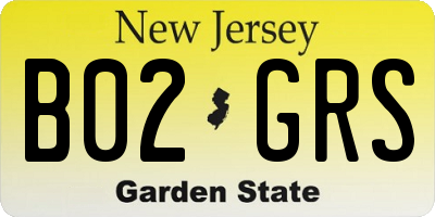 NJ license plate B02GRS