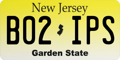 NJ license plate B02IPS