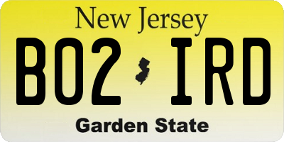 NJ license plate B02IRD