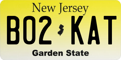 NJ license plate B02KAT