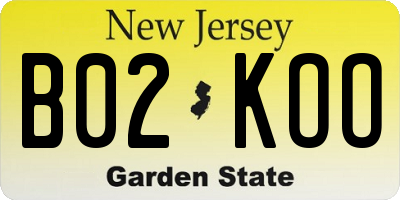 NJ license plate B02KOO