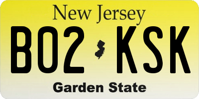 NJ license plate B02KSK