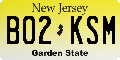 NJ license plate B02KSM