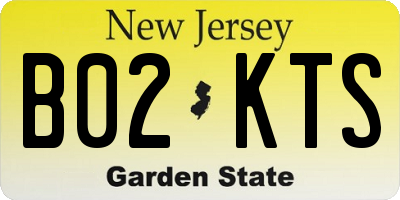 NJ license plate B02KTS