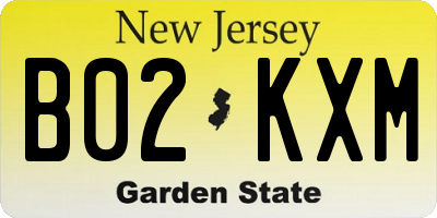 NJ license plate B02KXM