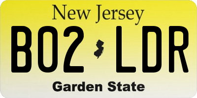 NJ license plate B02LDR