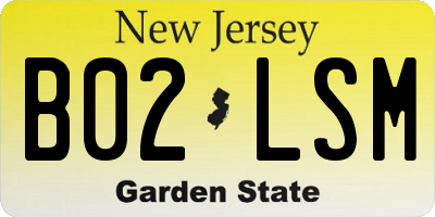 NJ license plate B02LSM