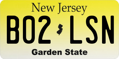 NJ license plate B02LSN