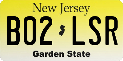 NJ license plate B02LSR